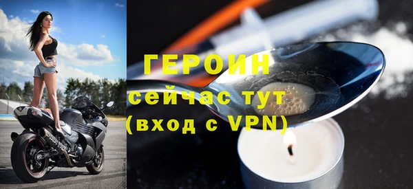 шишки Гусев