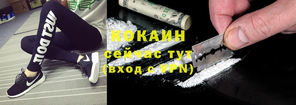 мдпв Гусь-Хрустальный