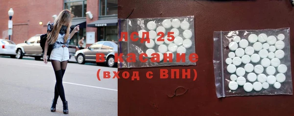 мдпв Гусь-Хрустальный