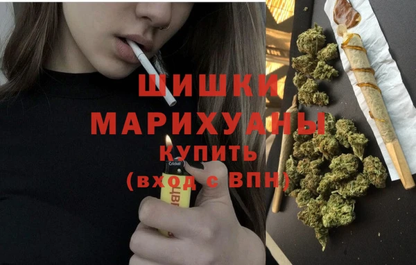 шишки Гусев