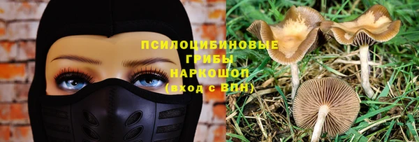 ECSTASY Гусиноозёрск