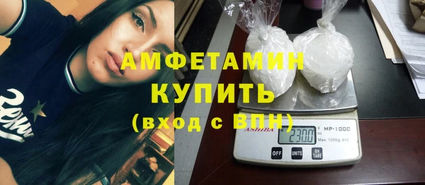 шишки Гусев