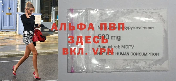 мдпв Гусь-Хрустальный